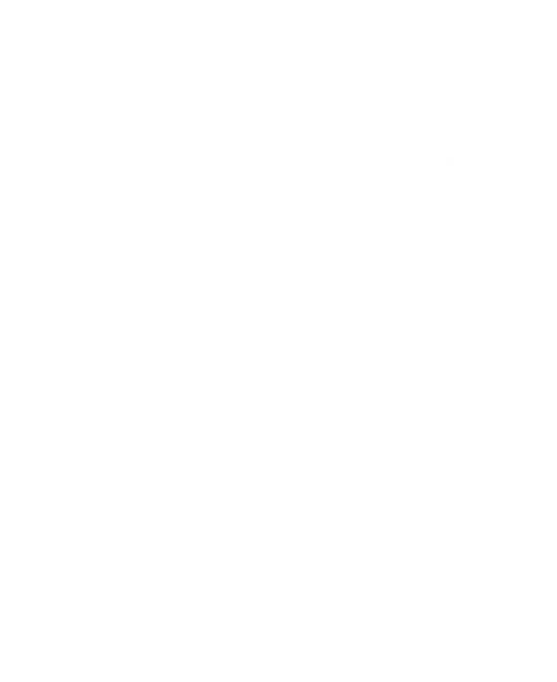 townmore logo in white